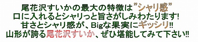 尾花沢すいかの特徴