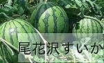 山形の尾花沢産すいかの商品一覧