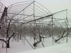 山形は大雪