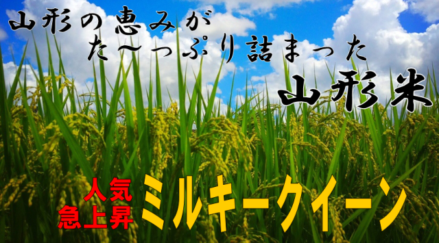 山形米・ミルキークイーンの商品詳細
