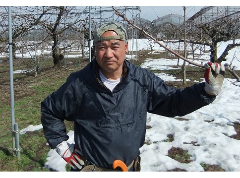 さくらんぼ（佐藤錦）の生産者　野口國夫さん