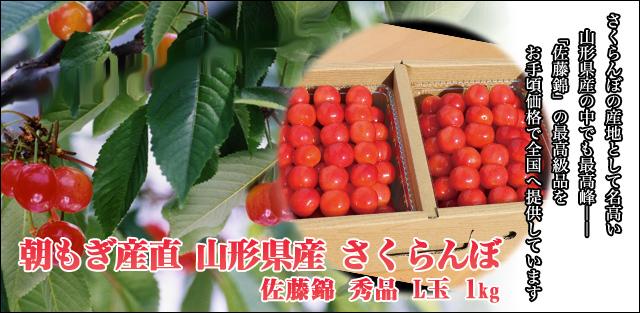 朝もぎ産直山形県産さくらんぼ　佐藤錦　秀品　L玉　1kgさくらんぼの産地として名高い山形県産の中でも最高峰――「佐藤錦」の最高級品をお手頃価格で全国へ提供しています