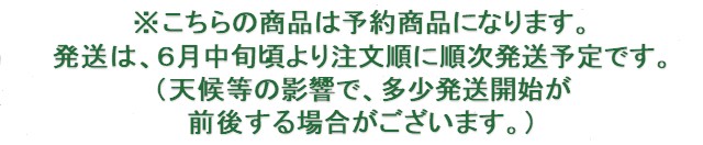 さくらんぼ予約時の注意