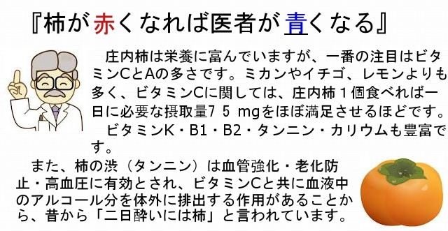 庄内柿は栄養満点の説明