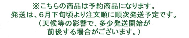 さくらんぼ予約時の注意