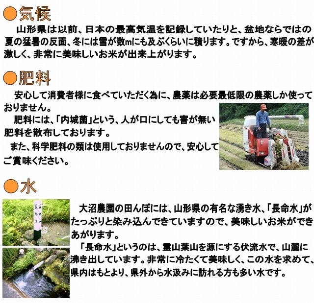 果樹果樹のミルキークイーンが美味しい理由