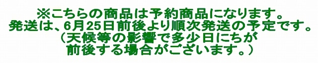 さくらんぼ予約時の注意